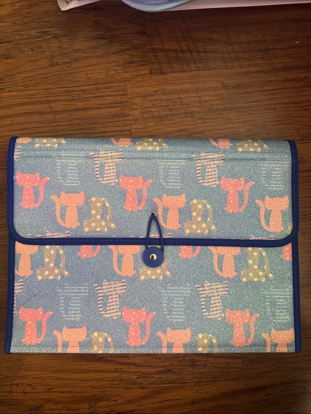 Glitter Blue Cat Print 6 File Pocket Holder C1.Bk.RM2